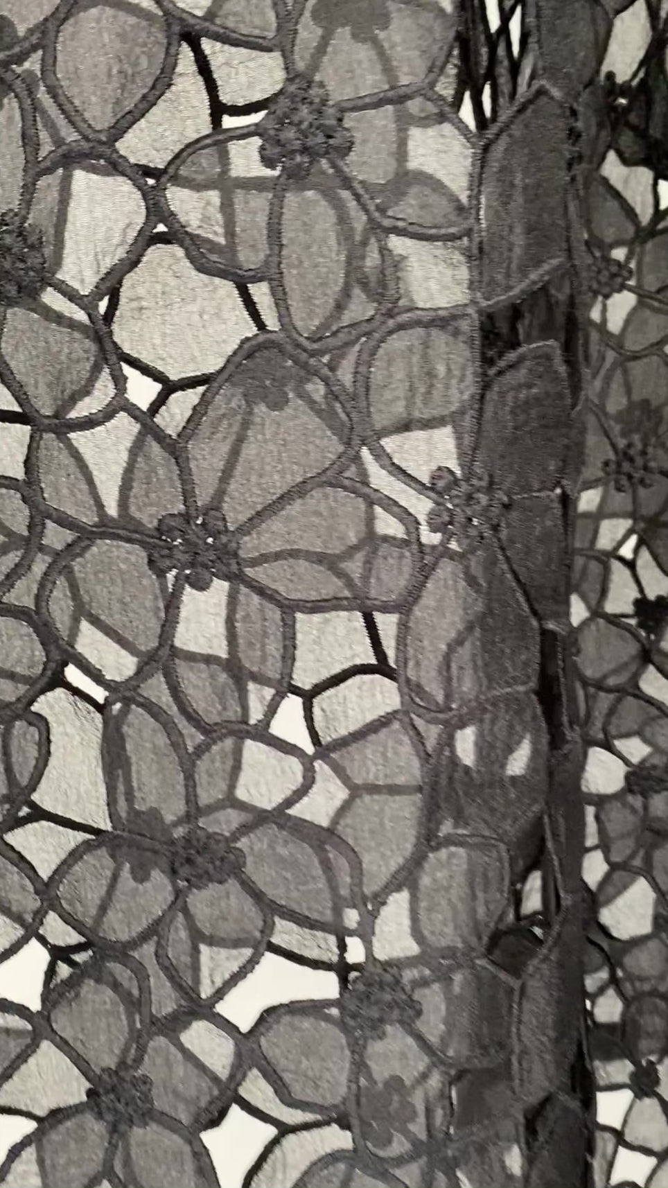 T-shirt dunkin en Dentelle Laurier brulé